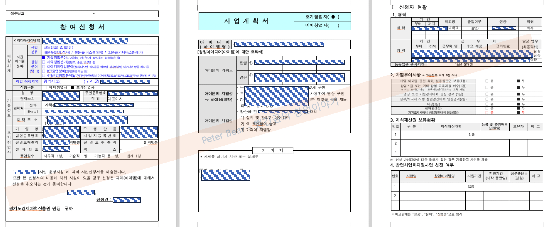 사업신청서 및 사업계획서 1~3페이지
