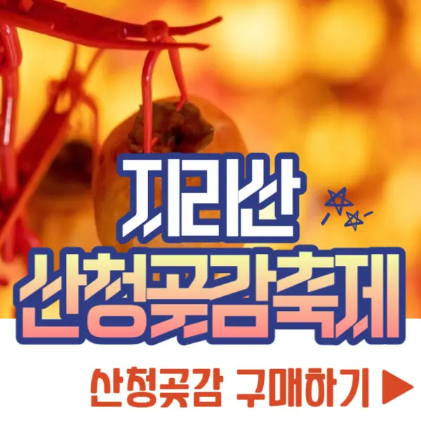 지리산 산청곶감축제 구매하기