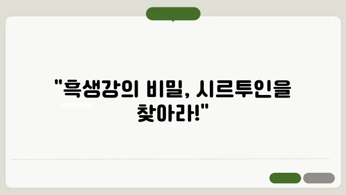 파비플로라 흑생강 효능 승슍숍