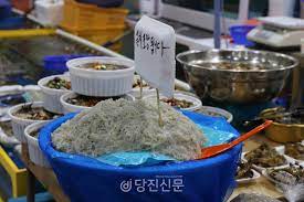 제18회 장고항 실치마을 수산물 홍보행사 기본정보와 프로그램 정리 김의영 이진관 하이런 등 출연