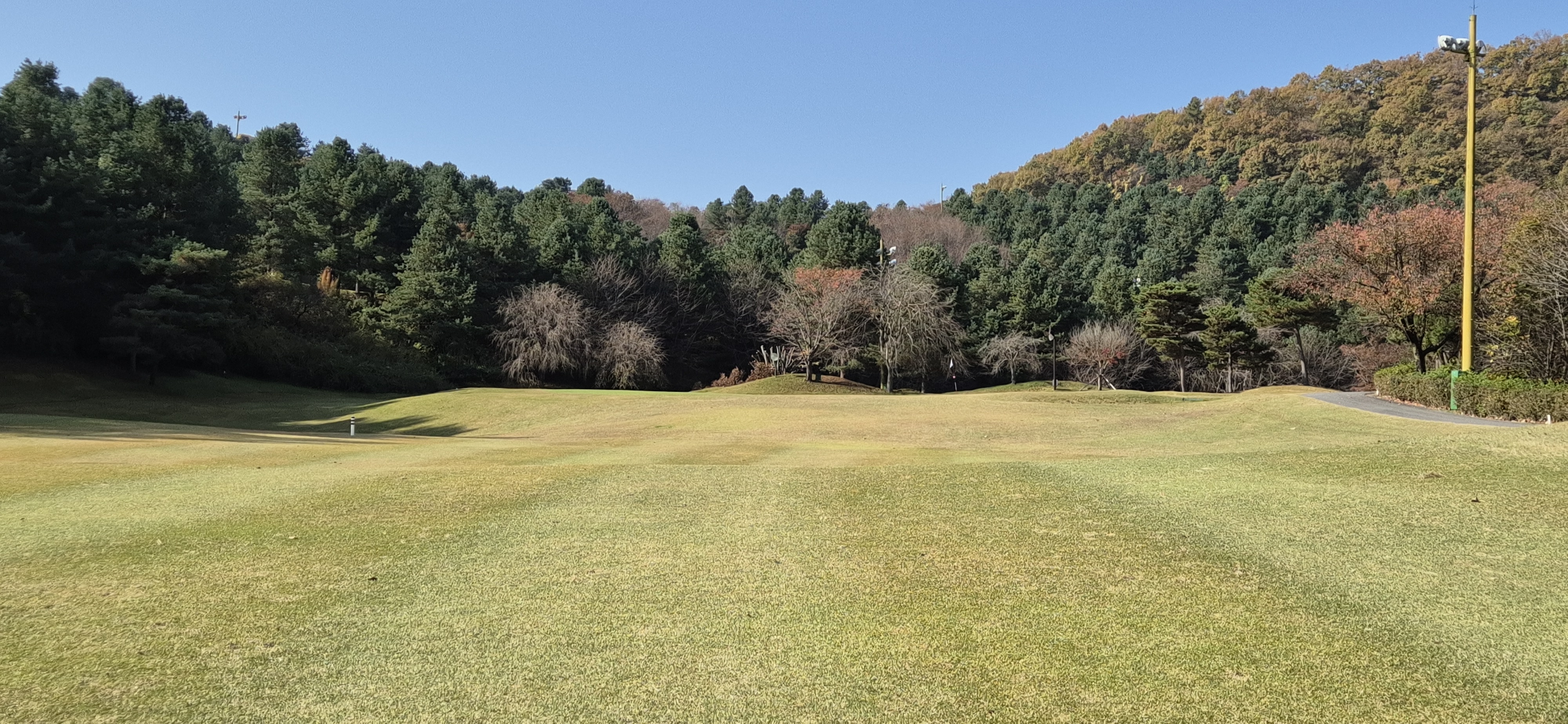 시그너스cc 실크코스 사진 및 공략 정보
