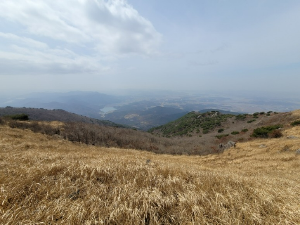 오서산
