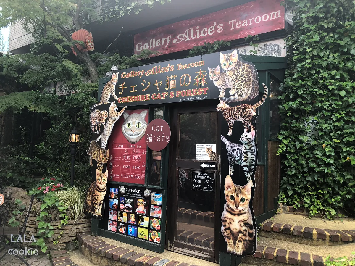 후쿠시마-유후인-가볼만한-곳-플로랄빌리지-후기-고양이-카페