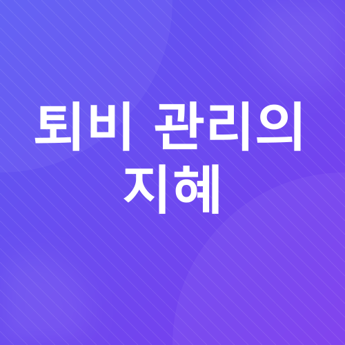 실내식물 관리_3