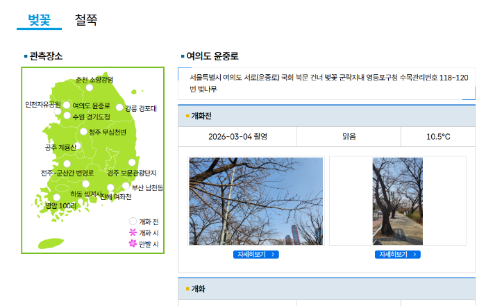 벚꽃 개화시기