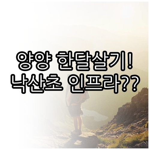 양양 한달살기 숙소 추천 낙산초 주변..