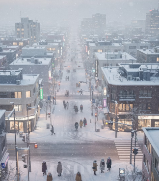 노로 바이러스 장염 증상