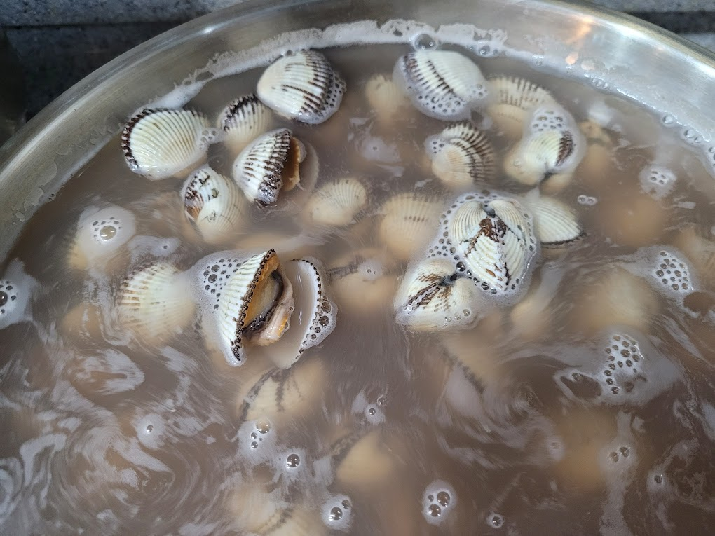 하나씩 입을 벌리는 꼬막