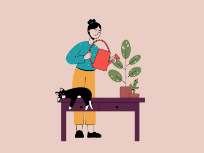 애완식물 키우기, 초보자를 위한 가이드