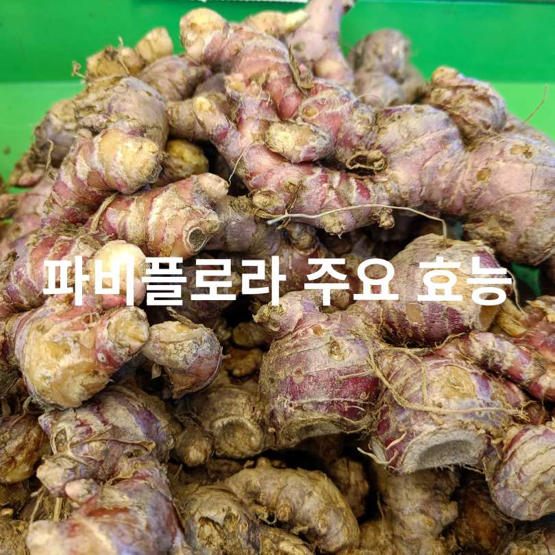 파비플로라 효능과 부작용 총정리! 다이어트에 정말 효과 있을까?