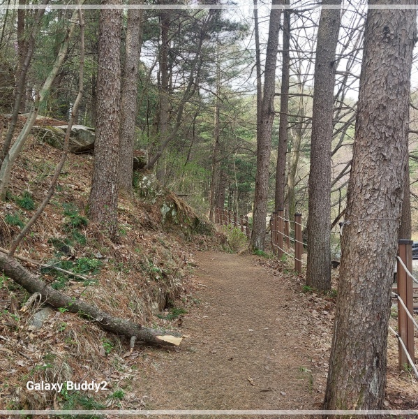 수리산 산책길