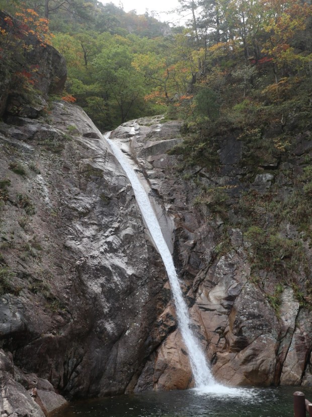 설악산 단풍시기