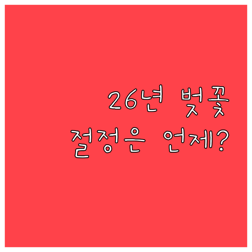 2026 동두천 벚꽃 절정 예상일과 ..