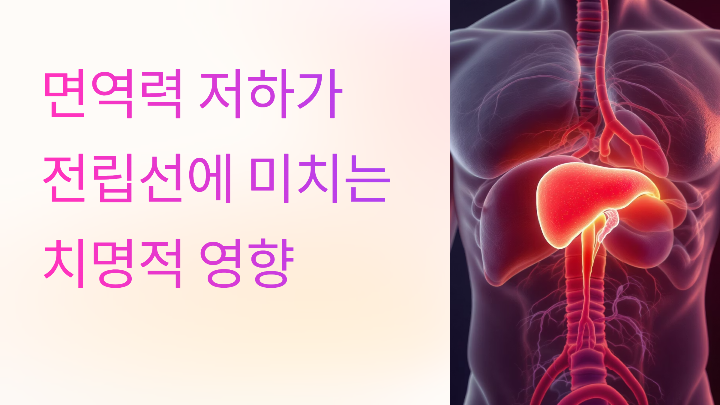 면역력 저하 전립선 미치는 치명적 영향