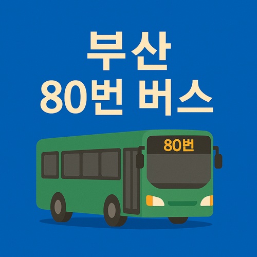부산 80번 버스 노선 섬네일