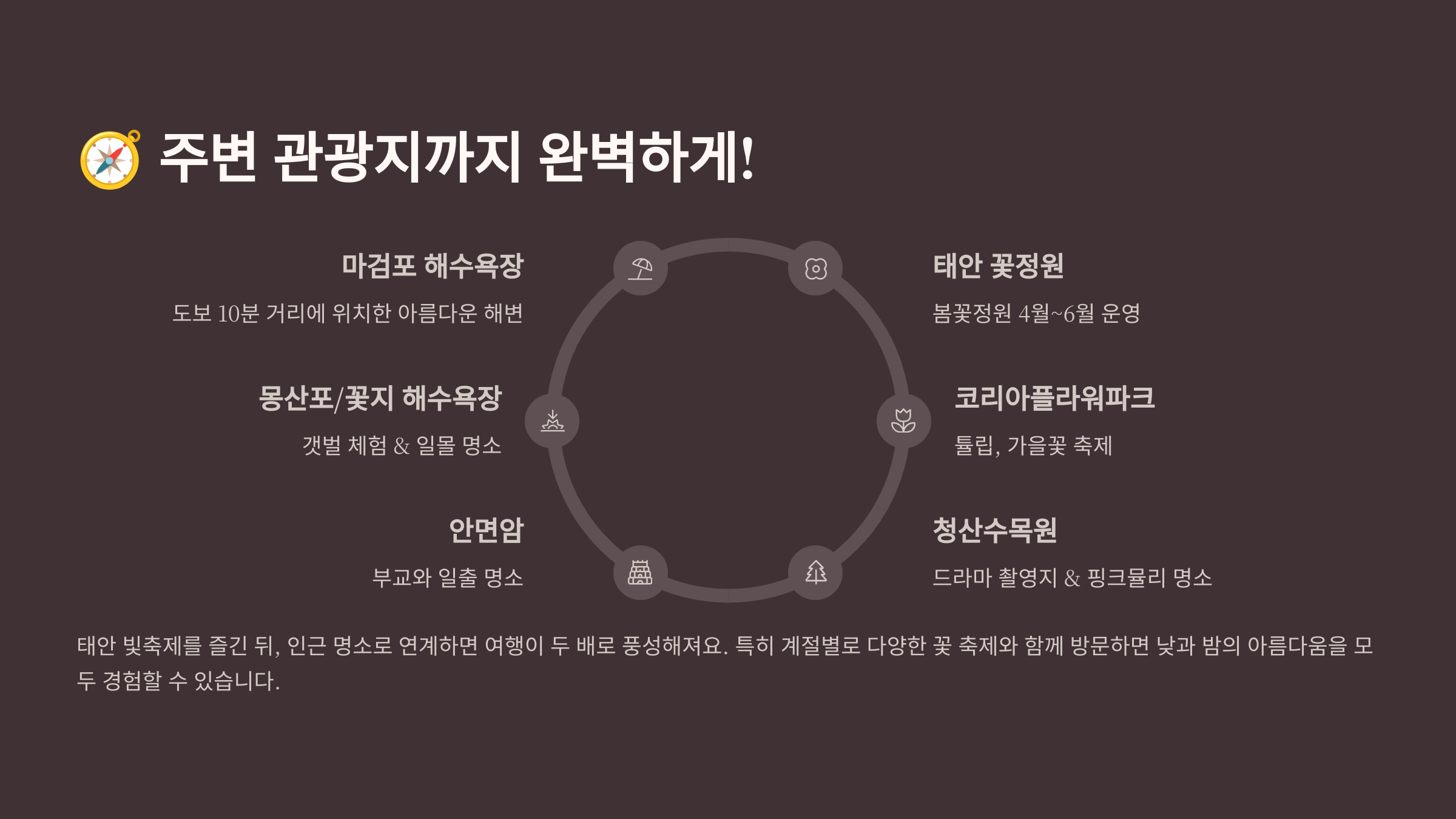 태안 빛축제 총정리