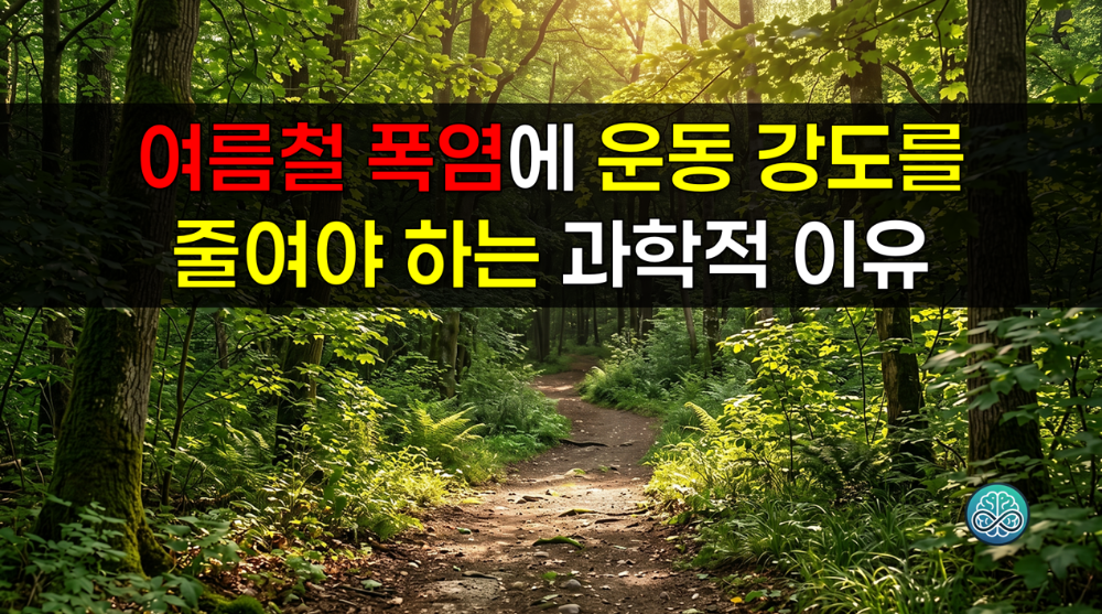 여름철 폭염에 운동 강도를 줄여야 하는 과학적 이유 - 체온 조절과 안전 가이드