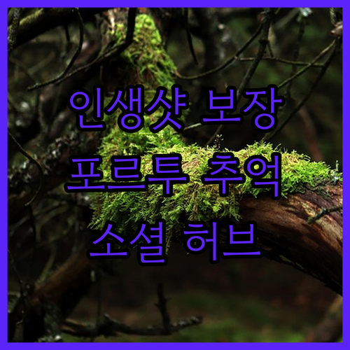 더 소셜 허브 포르투, 인생샷 보장!