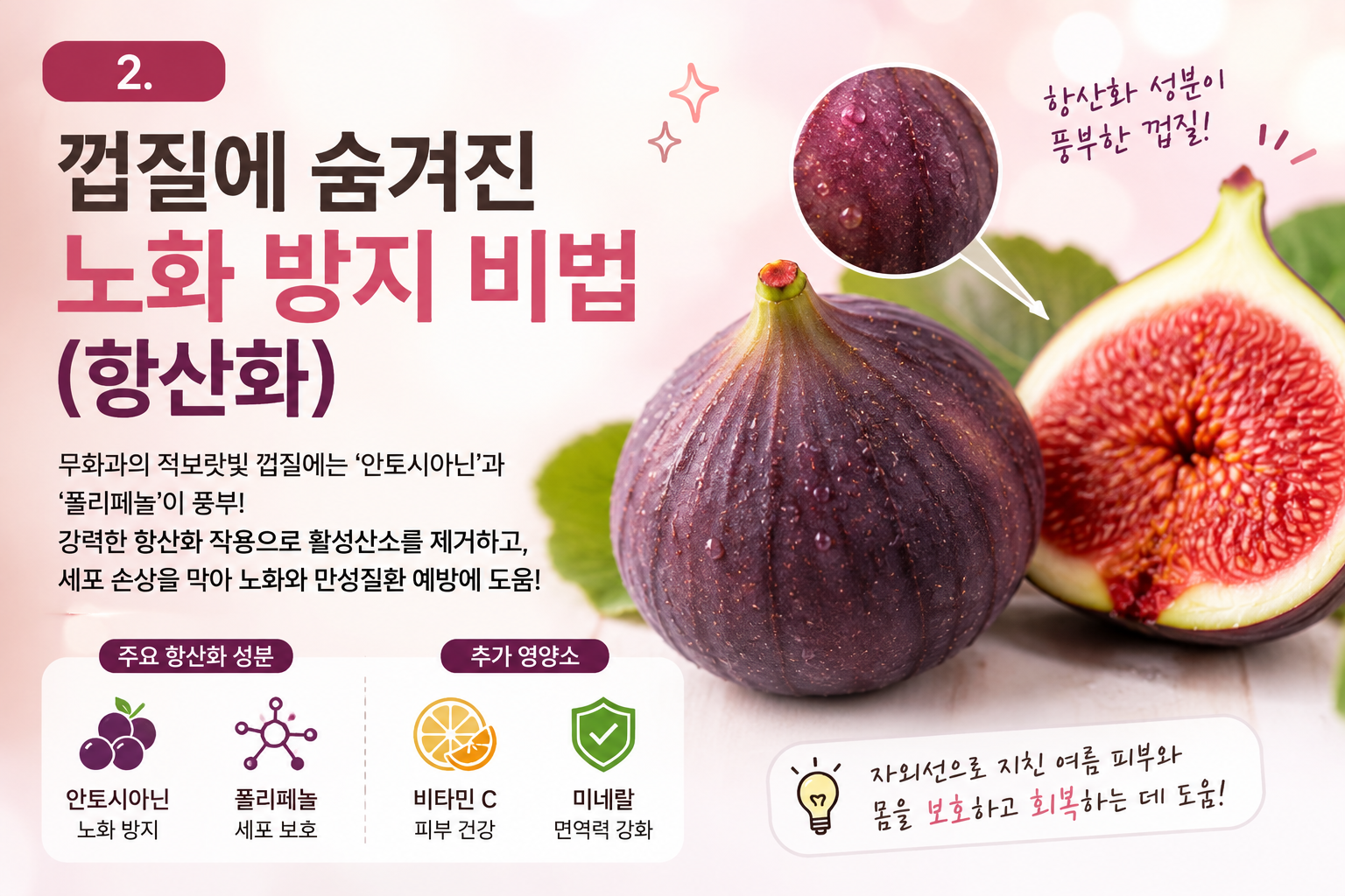 노화 방지 비법(항산화)