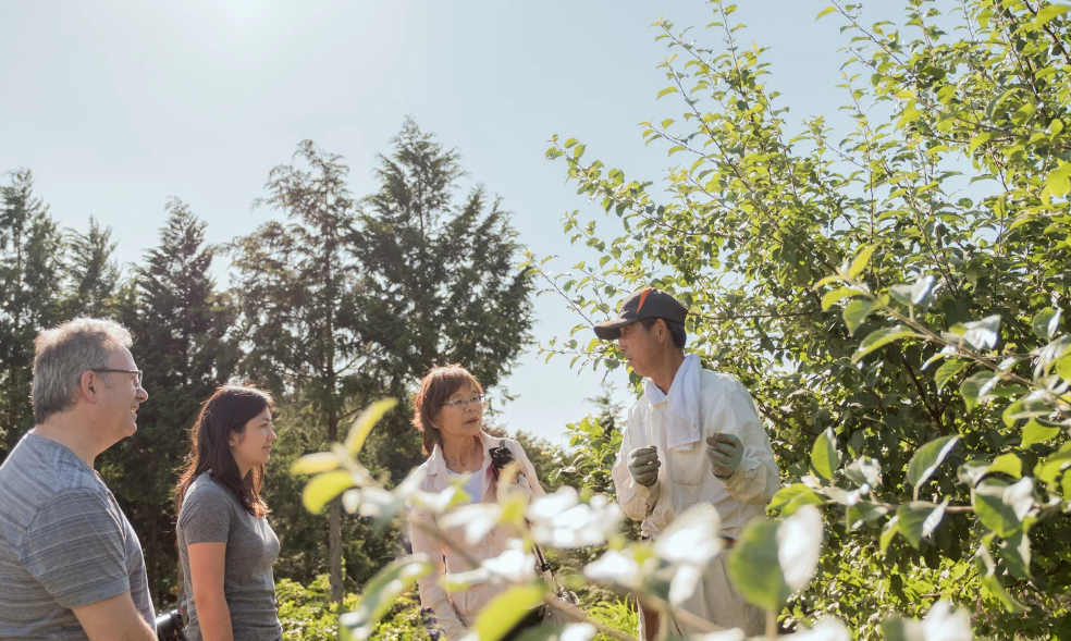 농촌투어패스의 핵심 혜택과 특징