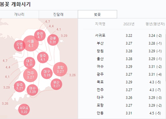 벚꽃 개화시기