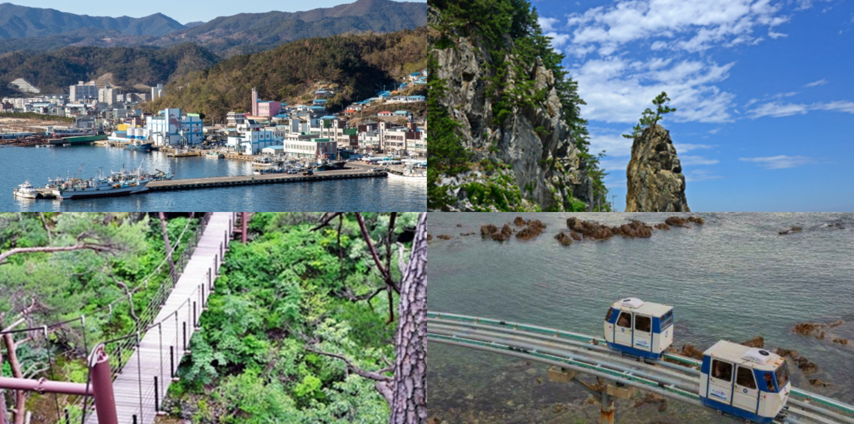 울진 가볼만한곳