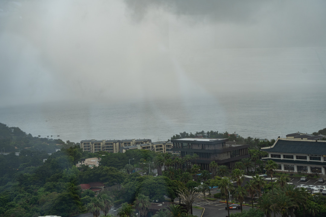 여미지 식물원 서귀포 해안