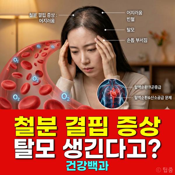 철분 결핍 증상 머리카락 빠짐 숨차는이유