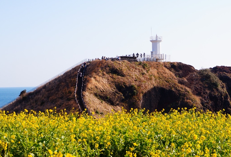 제주 등대 사진