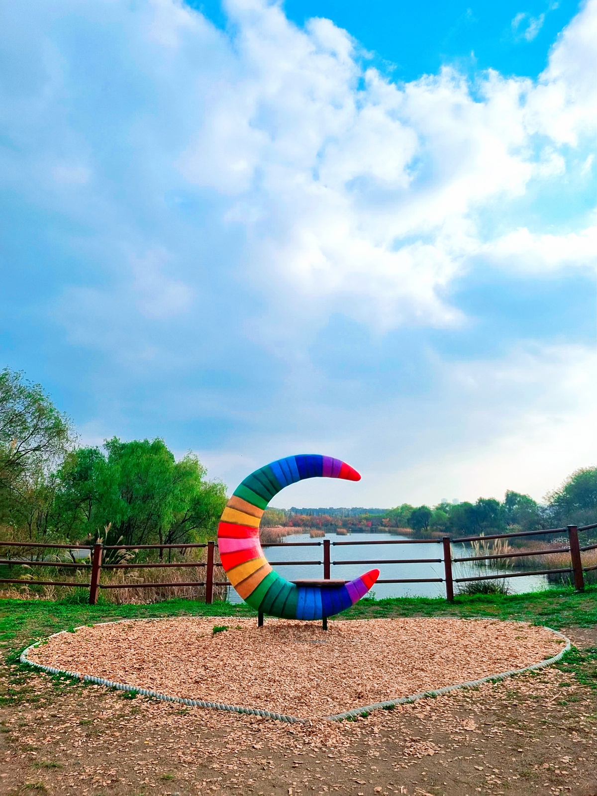 핑크뮬리부터 은행나무길까지, 드림파크 야생화공원 가을 축제와 산책