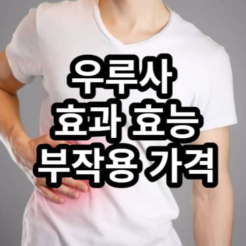 우루사 썸네일 이미지