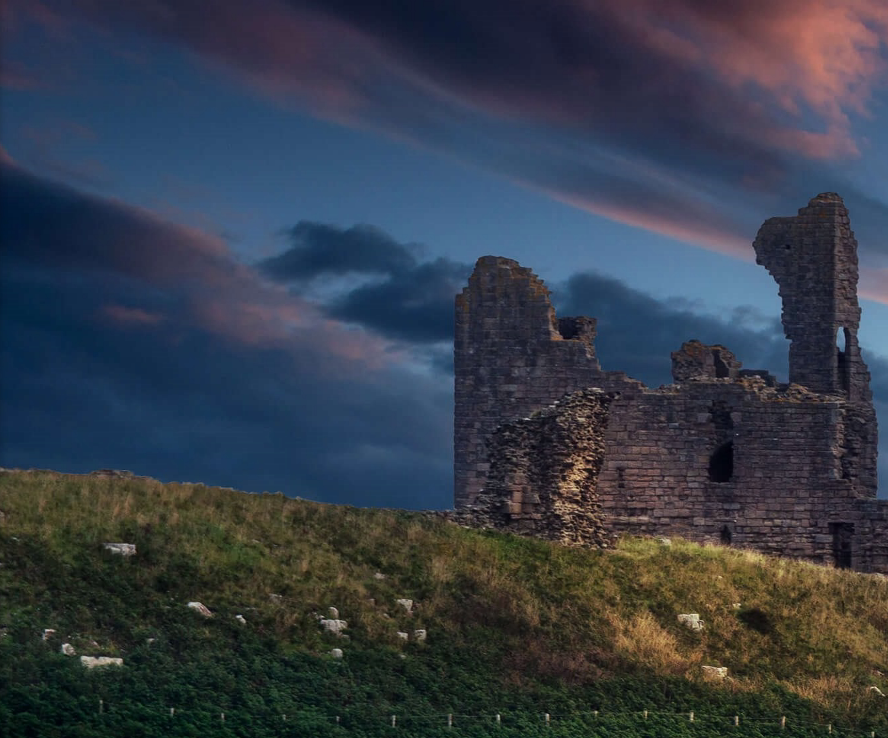 애니데스크와 비교