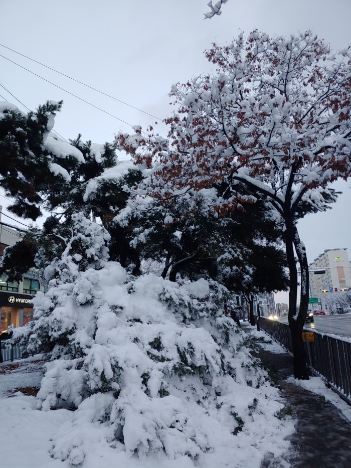 경기도-시흥시-대야동-첫눈