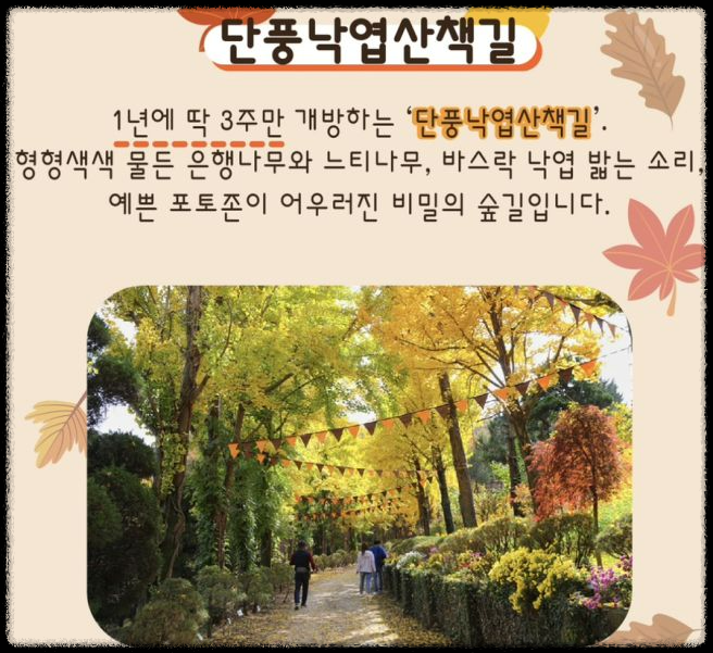 세종 베어트리 파크 단풍축제: 가이드 및 추천 코스