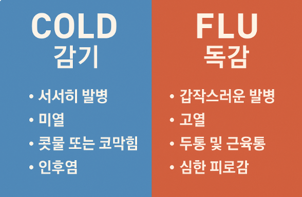 감기와 독감의 차이점 관련 사진