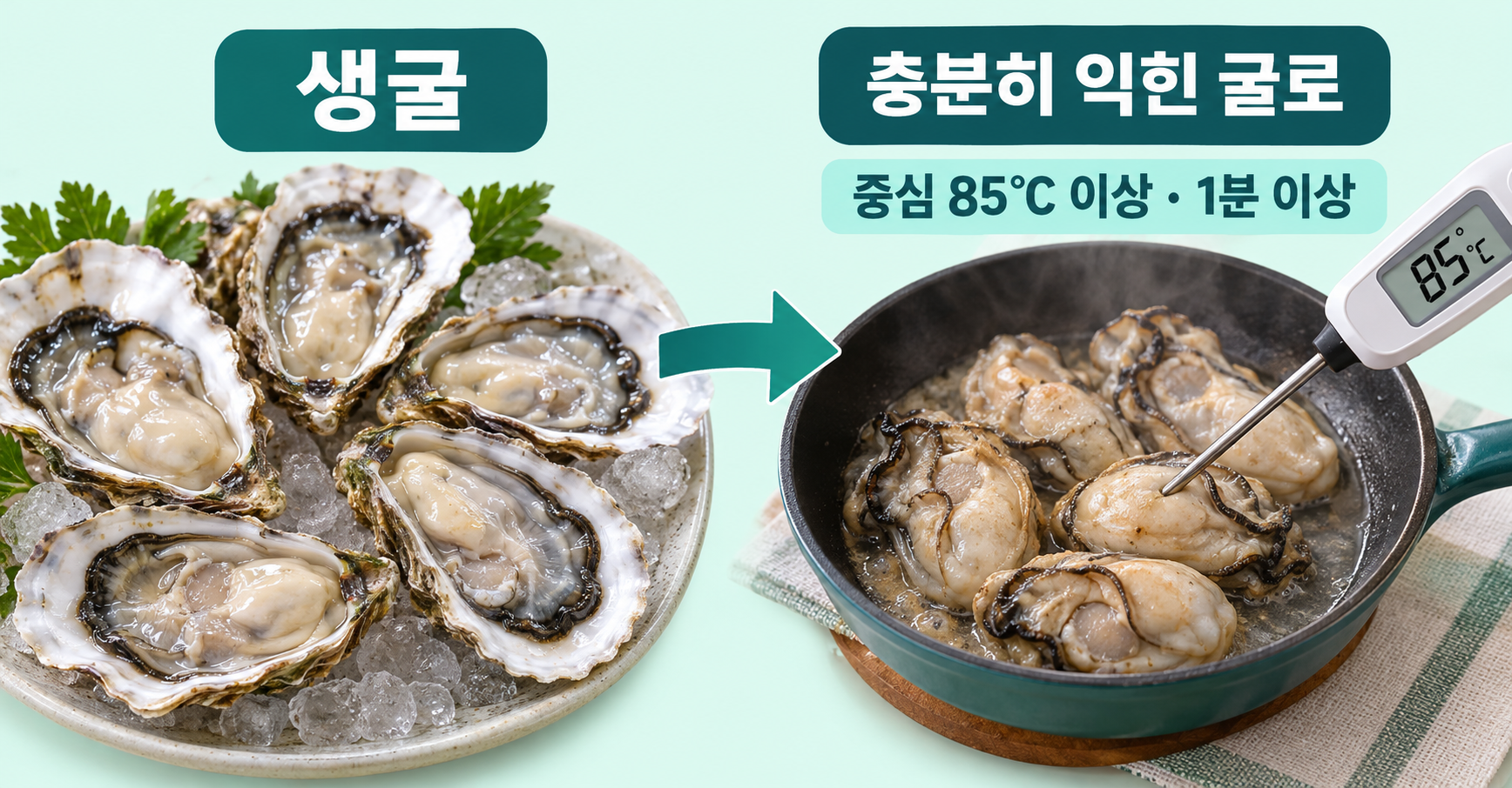 생굴 실사 인포그래픽. 날것: 생굴; 조리 변경: 속까지 충분히 익힌 굴; 국내 가열 기준: 중심 85℃이상·1분이상