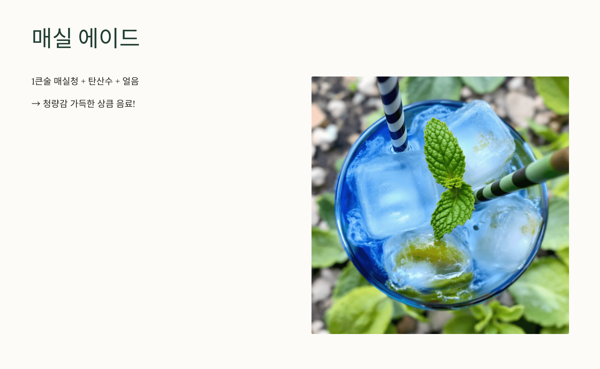 매실청 사진입니다.