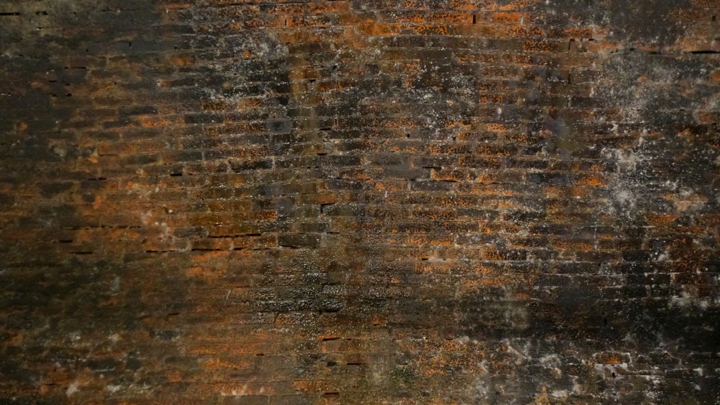 img.jpg?credential=yqXZFxpELC7KVnFOS48yl