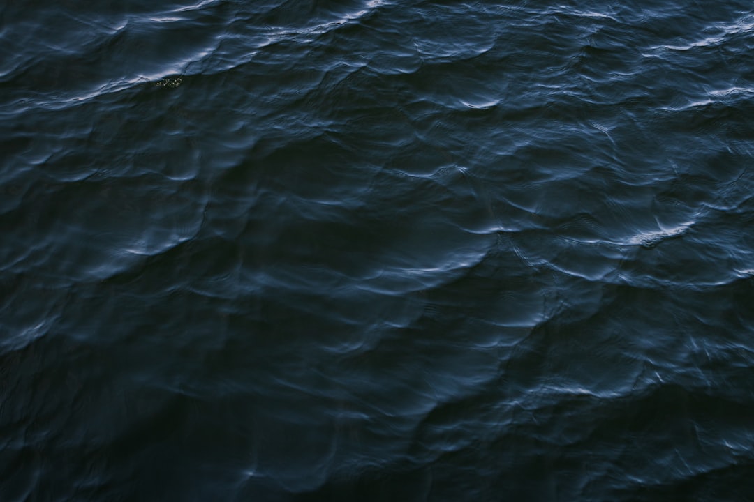 Salinity