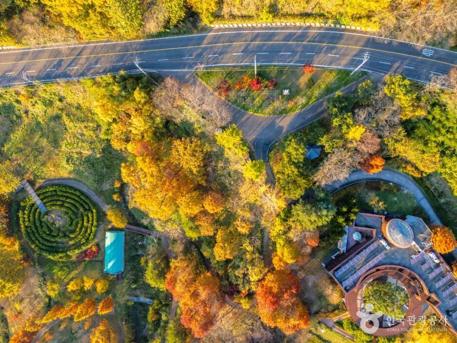 고령 가볼만한곳 베스트 10