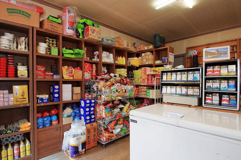 대관령 솔내음오토캠핑장 소개