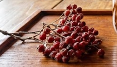 건조 마가목 열매