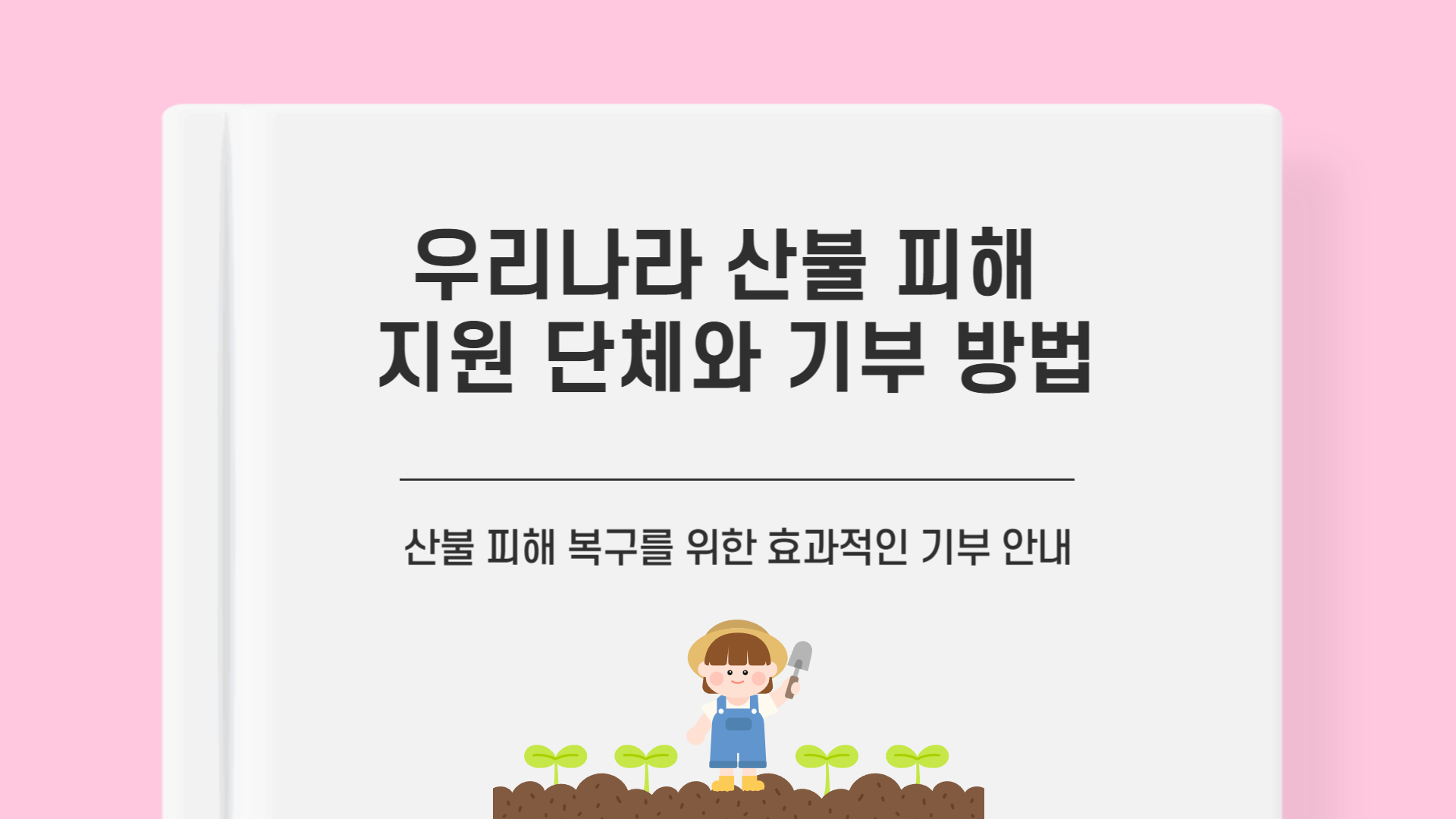 우리나라 산불 피해 지원 단체와 기부 방법