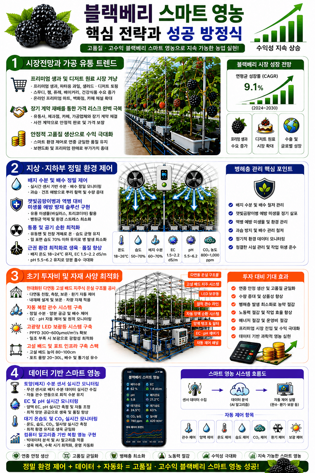 블랙베리 재배 성공 전략 인포그래픽