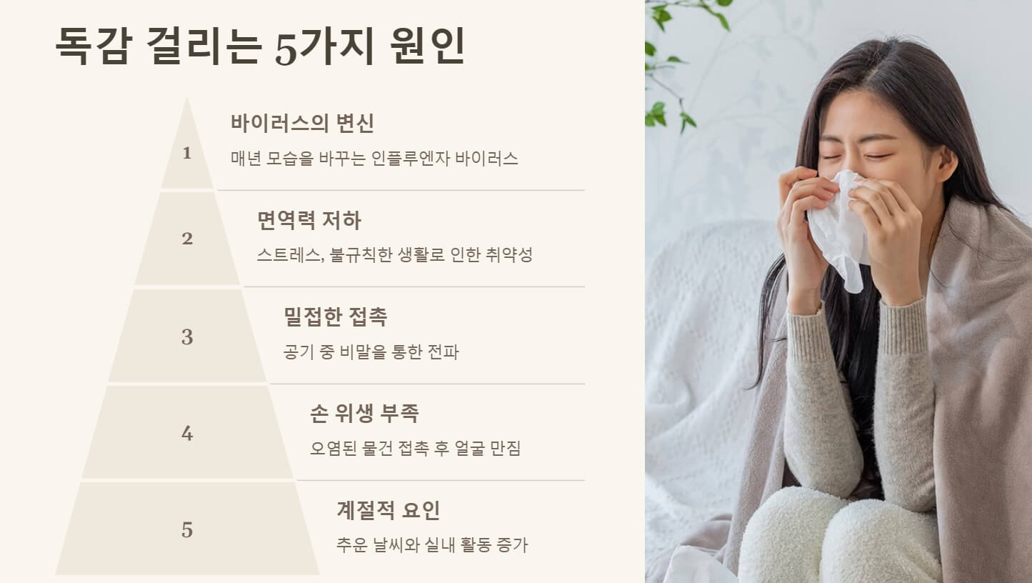 독감 걸리는 이유