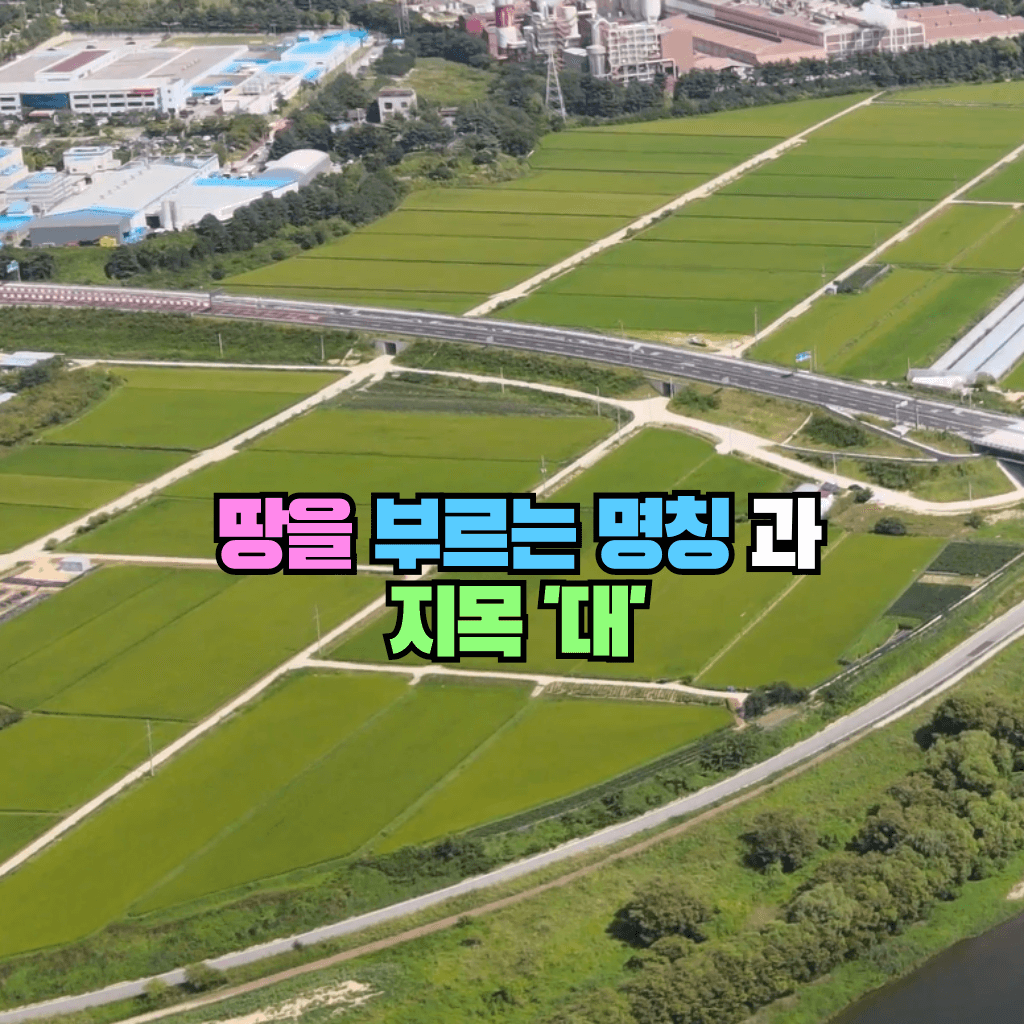 땅을 부르는 명칭과 지목 '대'