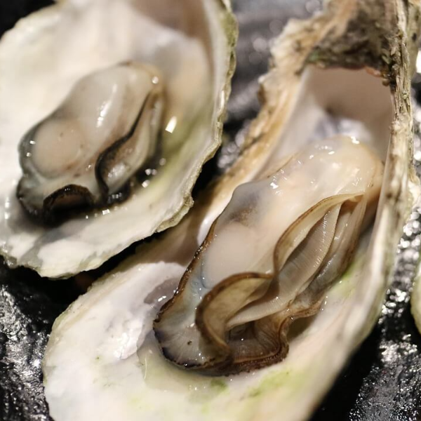 면역력 높이는 영양제 사진 19