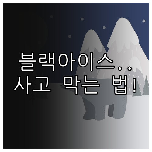 대형 사고 막는 블랙아이스 구간별 안..