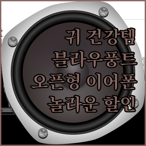 귀 건강 지킴이 블라우풍트 오픈형 이..