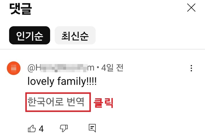 한국어로 번역 버튼 보임